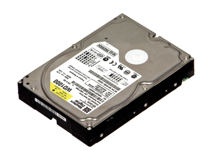 Yalangoch Ranetkining mushuklari va kokraklari